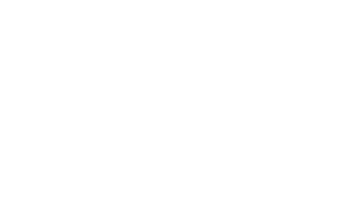 Logo Burgerweeshuis Fonds